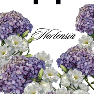 gortenziya-eustoma